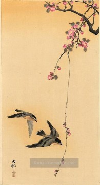  blut - Kirschblüte mit Vögeln Ohara Koson Shin Hanga